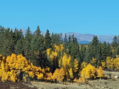 431 Arrowhead Dr, Como, CO 80432 photo 8