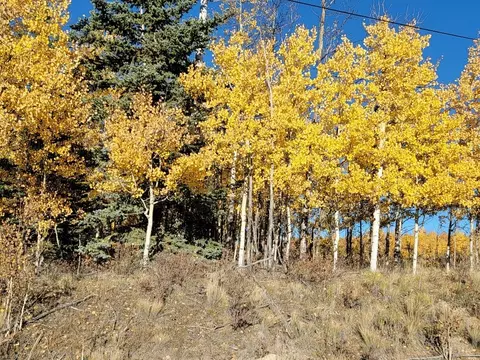 431 Arrowhead Dr, Como, CO 80432 photo 5