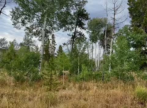 lot200 Fargo Way, Oak Creek, CO 80467