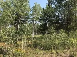 lot28 Haywagon Trl, Oak Creek, CO 80467