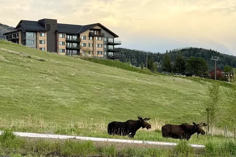 1550 Amble Dr #202, Steamboat Springs, CO 80487