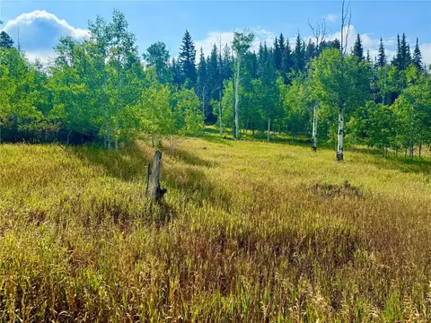 32556 Ute Trl, Oak Creek, CO 80467