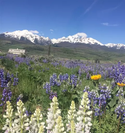 Other - 1703 Elk Run Rd, Silverthorne, CO 80498 photo 11 of 18
