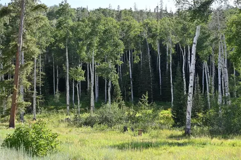 21525 Green Ridge Ct, Oak Creek, CO 80467