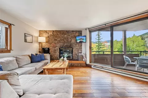 210 E La Bonte St #131, Dillon, CO 80435