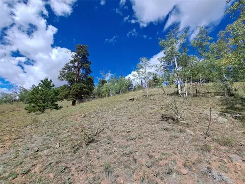 6452 Remington Rd, Como, CO 80432