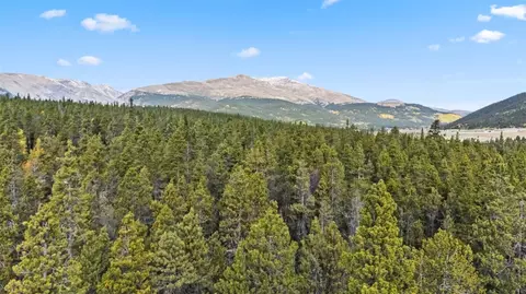 401 Willow Ln, Alma, CO 80440