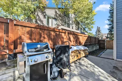 113 Badger Ct, Silverthorne, CO 80498 photo 40