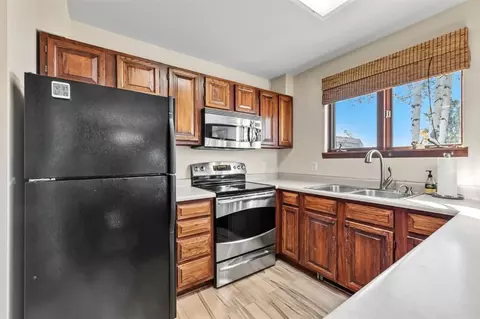 113 Badger Ct, Silverthorne, CO 80498 photo 4