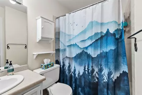113 Badger Ct, Silverthorne, CO 80498 photo 26