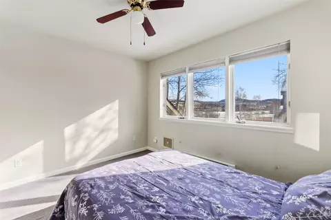 113 Badger Ct, Silverthorne, CO 80498 photo 30