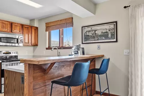 113 Badger Ct, Silverthorne, CO 80498 photo 7