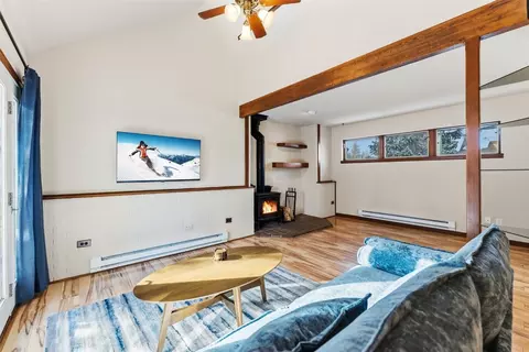 113 Badger Ct, Silverthorne, CO 80498 photo 12