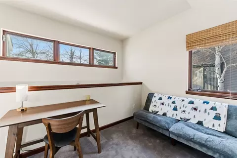 113 Badger Ct, Silverthorne, CO 80498 photo 20