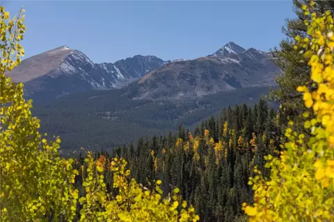 1139 Boreas Pass Rd, Breckenridge, CO 80424 photo 18
