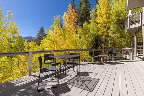1139 Boreas Pass Rd, Breckenridge, CO 80424 photo 29