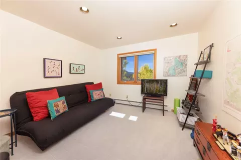 1139 Boreas Pass Rd, Breckenridge, CO 80424 photo 33