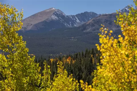 1139 Boreas Pass Rd, Breckenridge, CO 80424 photo 40