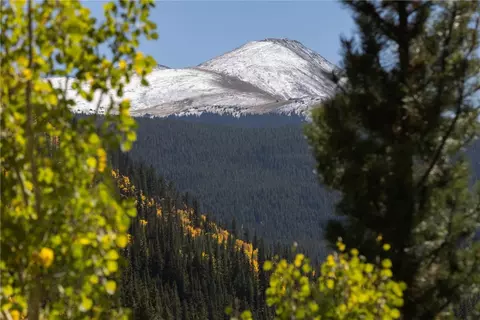 1139 Boreas Pass Rd, Breckenridge, CO 80424 photo 46