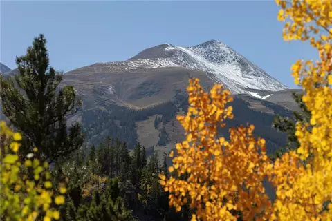 1139 Boreas Pass Rd, Breckenridge, CO 80424 photo 43