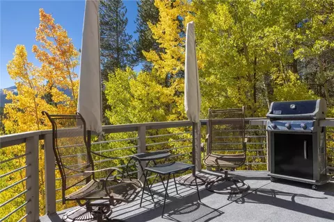 1139 Boreas Pass Rd, Breckenridge, CO 80424 photo 11