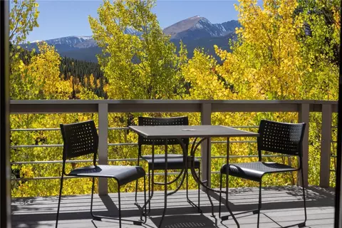 1139 Boreas Pass Rd, Breckenridge, CO 80424 photo 15
