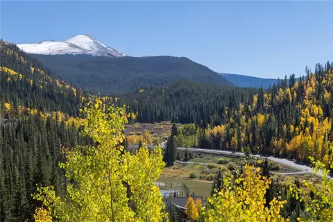 1139 Boreas Pass Rd, Breckenridge, CO 80424 photo 23