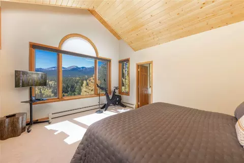 1139 Boreas Pass Rd, Breckenridge, CO 80424 photo 16