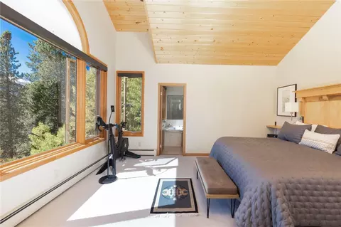 1139 Boreas Pass Rd, Breckenridge, CO 80424 photo 17