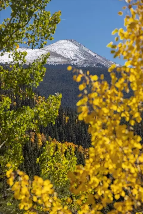 1139 Boreas Pass Rd, Breckenridge, CO 80424 photo 41