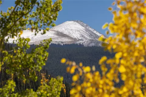 1139 Boreas Pass Rd, Breckenridge, CO 80424 photo 13
