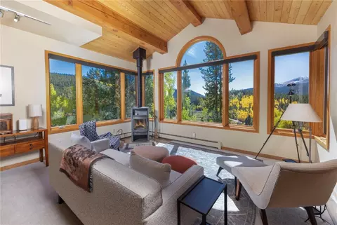 1139 Boreas Pass Rd, Breckenridge, CO 80424 photo 2