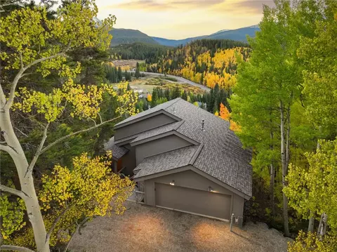 1139 Boreas Pass Rd, Breckenridge, CO 80424 photo 6
