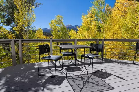 1139 Boreas Pass Rd, Breckenridge, CO 80424 photo 26