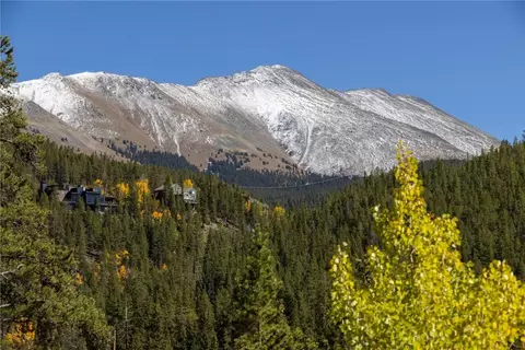 1139 Boreas Pass Rd, Breckenridge, CO 80424 photo 42