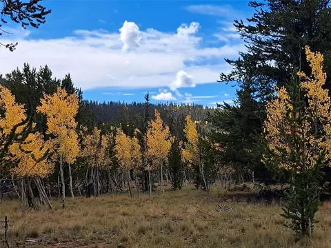 1403 Wampum Ln, Como, CO 80432