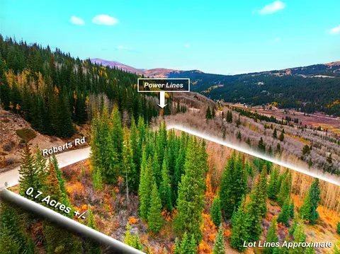 0000 Roberts Rd, Alma, CO 80420
