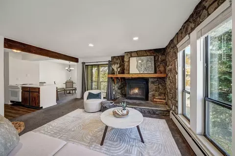 Living - 112 E La Bonte St #208, Dillon, CO 80435 photo 3 of 4