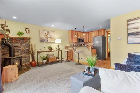 361 Salt Lick Cir #361, Silverthorne, CO 80498