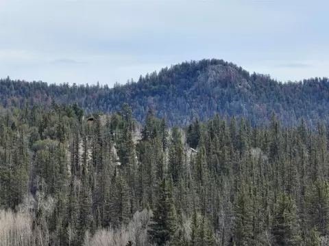 805 Longbow Dr, Como, CO 80432 photo 19