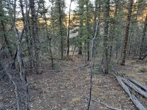 805 Longbow Dr, Como, CO 80432 photo 37