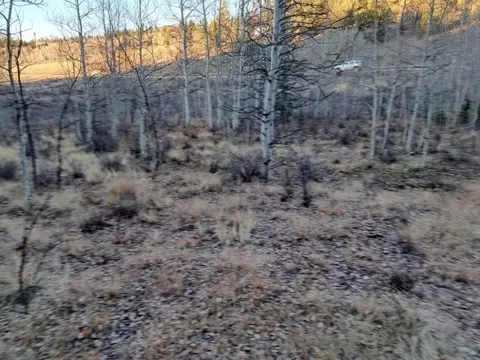 805 Longbow Dr, Como, CO 80432 photo 35