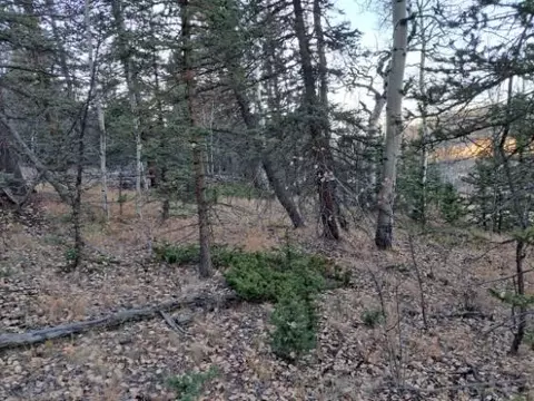 805 Longbow Dr, Como, CO 80432 photo 31