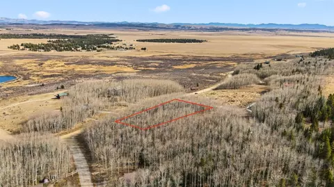 1133 High Creek Rd, Fairplay, CO 80440