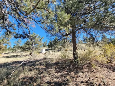 460 Bonell Dr, Fairplay, CO 80440 photo 22