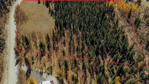 459 Platte River Dr, Fairplay, CO 80440