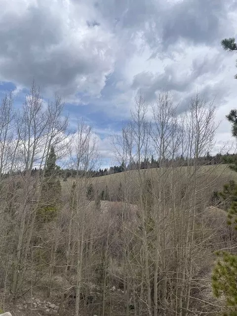 1582 Beaver Creek Rd, Fairplay, CO 80440
