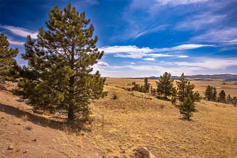 102 Pack Saddle Ct, Fairplay, CO 80449