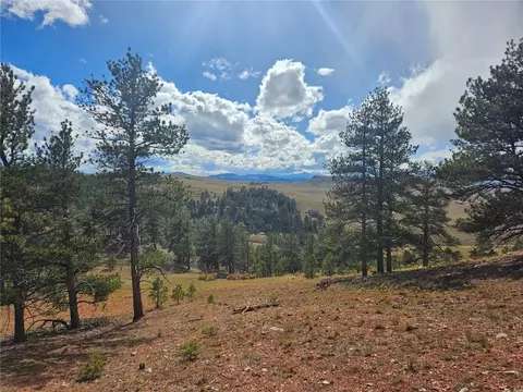 Pcs #25252 Fernando Trail, Hartsel, CO 80456