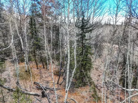 646 Antelope Way, Como, CO 80432 photo 11